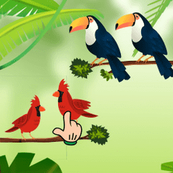 Game Mengurutkan Burung